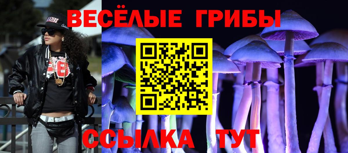 Копейск  Псилоцибиновые грибы Cubensis  Вход с VPN 